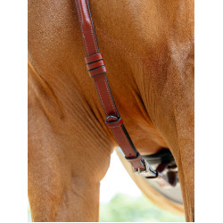 Collier de chasse avec martingale LeMieux Chestnut Marron