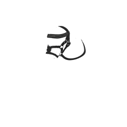 Bridon à muserolle croisée LeMieux Toy Pony Noir