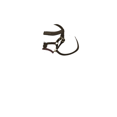 Bridon à muserolle croisée LeMieux Toy Pony Marron