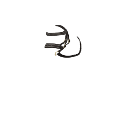 Bridon Hunter LeMieux Toy Pony Marron