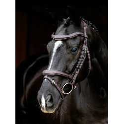 Bridon LeMieux Flash Contour Kudos Marron
