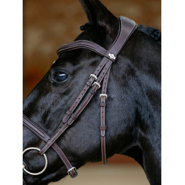 Bridon LeMieux Flash Contour Kudos Marron