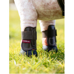 Guêtres Capella LeMieux Toy Pony Bruin