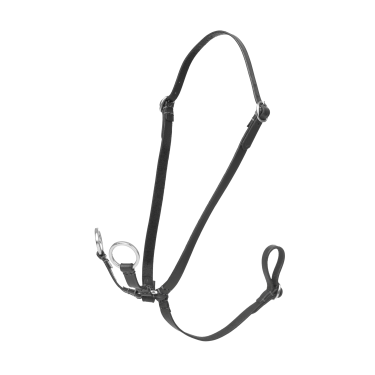 Martingaal met ringen Hobby Horse LeMieux