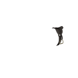 Selle de CSO avec sangle bavette LeMieux Toy Pony Bruin