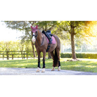 Tapis de dressage LeMieux Essence Square Rosewood Tapis de dressage LeMieux Essence Square Rosewood