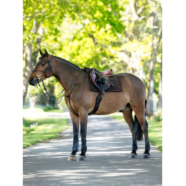 Tapis de selle Pillow LeMieux Marron Tapis de selle Pillow LeMieux Marron