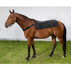 Chauffe dos Back on Track