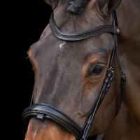 Bridon avec muserolle Englaise Imperial Riding Noir / noir Bridon avec muserolle Englaise Imperial Riding Noir / noir
