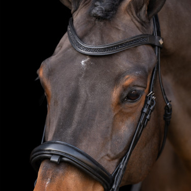 Hoofdstel met Engelse neusriem Imperial Riding Hoofdstel met Engelse neusriem Imperial Riding
