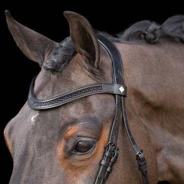 Hoofdstel met Engelse neusriem Imperial Riding Hoofdstel met Engelse neusriem Imperial Riding