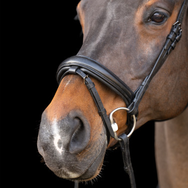 Hoofdstel met Engelse neusriem Imperial Riding Hoofdstel met Engelse neusriem Imperial Riding