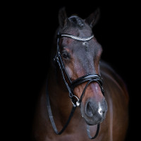 Bridon avec muserolle Englaise Imperial Riding Noir / noir Bridon avec muserolle Englaise Imperial Riding Noir / noir