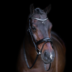 Bridon avec muserolle Englaise Imperial Riding Noir / crystal