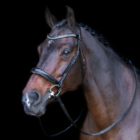 Hoofdstel met Engelse neusriem Imperial Riding Zwart / kristal