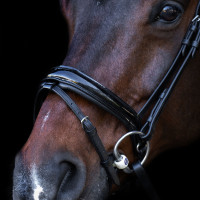 Bridon avec muserolle Englaise Imperial Riding Noir / noir Bridon avec muserolle Englaise Imperial Riding Noir / noir