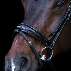 Hoofdstel met Engelse neusriem Imperial Riding Zwart / kristal