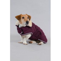 Couverture Chien Harcour Rocket Violine