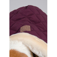 Couverture Chien Harcour Rocket Violine Violet