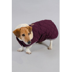 Couverture Chien Harcour Rocket Violine Violet Couverture Chien Harcour Rocket Violine Violet