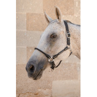 Licol Harcour Honey Noir Licol Harcour Honey Noir