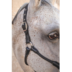 Licol Harcour Honey Noir Licol Harcour Honey Noir