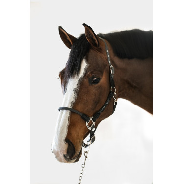 Halter Harcour Honey Donkergrijs