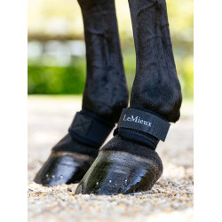 LeMieux neopreen kogelbeschermers Zwart LeMieux neopreen kogelbeschermers Zwart