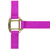 Licol nylon doublé cuir Norton Fuchsia