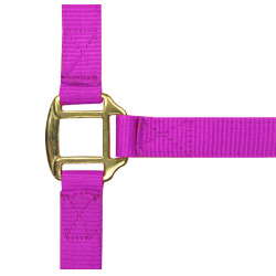 Licol nylon doublé cuir Norton