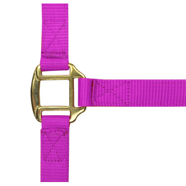 Licol nylon doublé cuir Norton