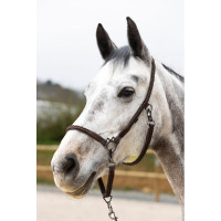 ProConfort Dialou verzorgingshalster Bruin