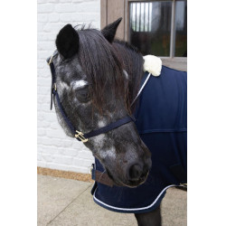 Licol en Nylon Breakaway Kentucky Marine Bleu marine Licol en Nylon Breakaway Kentucky Marine Bleu marine