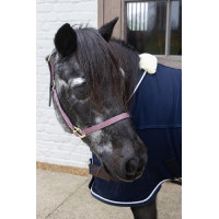 Licol en Nylon Breakaway Kentucky Vieux rose