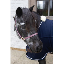 Licol en Nylon Breakaway Kentucky Vieux rose