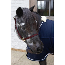 Licol en Nylon Breakaway Kentucky Bordeaux