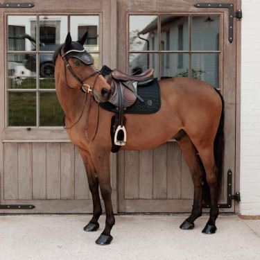 Vliegendeken Kentucky wellington sprankelend Vliegendeken Kentucky wellington sprankelend