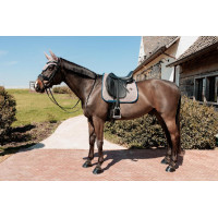 Kentucky Zadeldek Pied-de-Poule Bordeaux