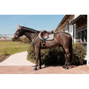 Kentucky Zadeldek Pied-de-Poule Bordeaux