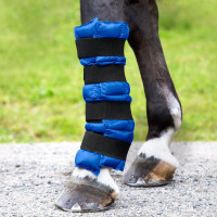 Finn-Tack Pro koelbeenbeschermer Blauw
