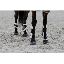 Kogelbeschermers Equithème Boa Kogelbeschermers Equithème Boa
