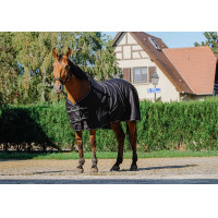 Glanzend overhemd Riding World Zwart Glanzend overhemd Riding World Zwart