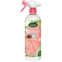 Easy Shine Ravene Eco-Recharge Easy Shine Ravene Eco-Recharge