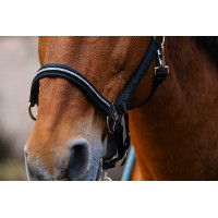 Licol nylon Equithème Domino Vert Licol nylon Equithème Domino Vert