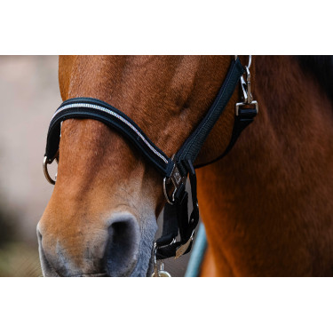 Licol nylon Equithème Domino Vert