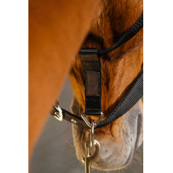 Licol nylon Equithème Domino Bordeaux Licol nylon Equithème Domino Bordeaux