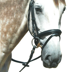 Bridon Pull Back Le Touquet Privilege Equitatie Bridon Pull Back Le Touquet Privilege Equitatie