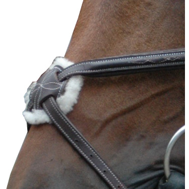 Bridon Royan Gekruist Privilege Ruitersport