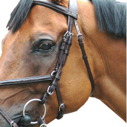 Bridon Royan Gekruist Privilege Ruitersport