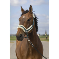 Licol Equithème Nylon Mouton Vert / blanc Licol Equithème Nylon Mouton Vert / blanc